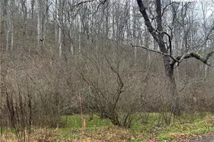 Tbd Foster Oliver Ln, Lansing, NC 28643 - Photo 1