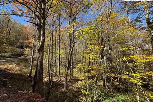 Lot 77 Rock Spring Circle, Sugar Mountain, NC 28604 - Photo 1