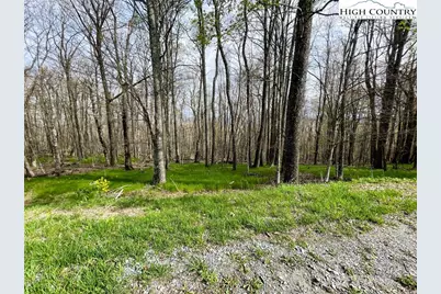 203 Sawmill Branch Road, Beech Mountain, NC 28604 - Photo 1