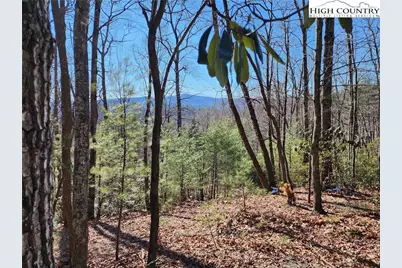 000 Mountain Vista Drive, McGrady, NC 28649 - Photo 1