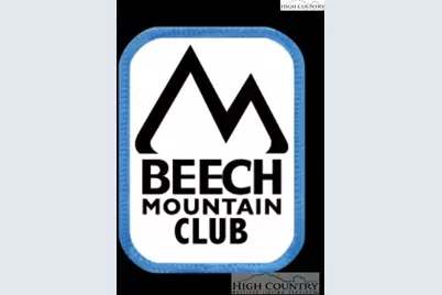 111 Thistle Lane, Beech Mountain, NC 28604 - Photo 1