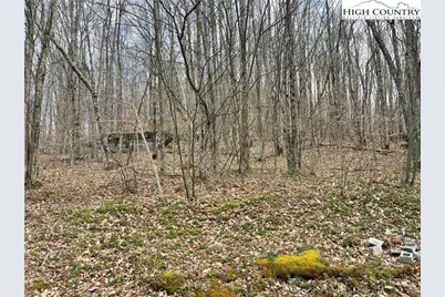 215 Wild Daisy Lane, Beech Mountain, NC 28604 - Photo 1