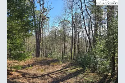 Tbd Timber Ridge Road, Millers Creek, NC 28651 - Photo 1