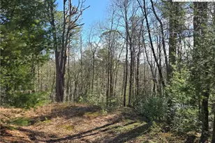 Tbd Timber Ridge Rd, Millers Creek, NC 28651 - Photo 1