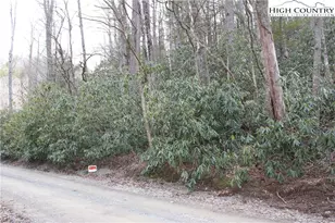 Tbd Rocky Creek Rd, Boone, NC 28607 - Photo 1
