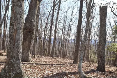 Tbd Coleman Drive, Sparta, NC 28675 - Photo 1