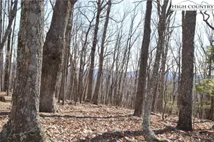 Tbd Coleman Dr, Sparta, NC 28675 - Photo 1