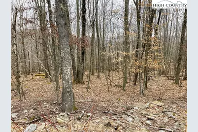 222 Wild Daisy Lane, Beech Mountain, NC 28604 - Photo 1