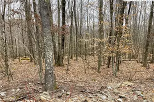 222 Wild Daisy Ln, Beech Mountain, NC 28604 - Photo 1