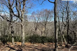 Lot 240 Thunder Wood Trail, Blowing Rock, NC 28605 - Photo 1