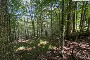 217 Sawmill Branch Rd, Beech Mountain, NC 28604 - Photo 1