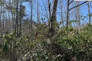 134 Goldfinch Rd, Newland, NC 28657 - Photo 1