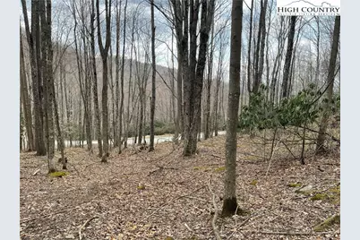 100 Fireweed Lane, Beech Mountain, NC 28604 - Photo 1