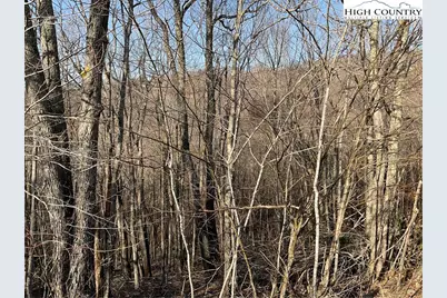 134 Lower Snowbird Trail, Banner Elk, NC 28604 - Photo 1