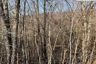 134 Lower Snowbird Trail, Banner Elk, NC 28604 - Photo 1