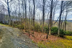 103 Bear Paw Path, Beech Mountain, NC 28604 - Photo 1