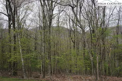 Lot 21 Fairway Ridge Drive, West Jefferson, NC 28694 - Photo 1