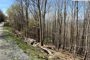 137 139 141 and 143 W Blueberry Ln, Beech Mountain, NC 28604 - Photo 1