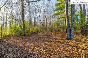 Tbd John Baker Rd, Crumpler, NC 28617 - Photo 1