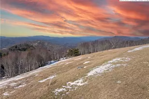 Rs4 Skywest Pkwy, Elk Park, NC 28604 - Photo 1