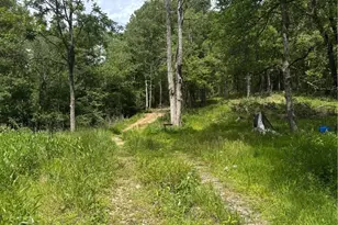 Tbd Round Hill Church Rd, Traphill, NC 28685 - Photo 1