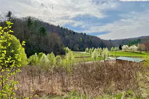 5 69 Acres Lot 504 Equestrian Dr, Lenoir, NC 28645 - Photo 1