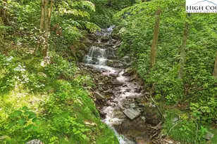 Lot 5 Elk Creek Rd, Deep Gap, NC 28618 - Photo 1