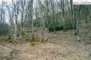 Lot 101 Beaver Lodge Trail, Blowing Rock, NC 28605 - Photo 1