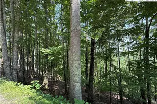 115 Hollow Tree Rd, Beech Mountain, NC 28604 - Photo 1