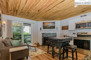 301 Pinnacle Inn Rd, Beech Mountain, NC 28604 - Photo 1