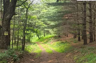 137 C and M Ln, Laurel Springs, NC 28644 - Photo 1