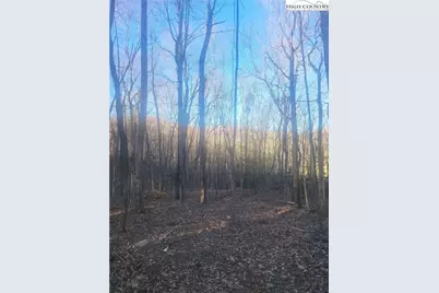 Tbd Bluff Ridge Road, West Jefferson, NC 28694 - Photo 1