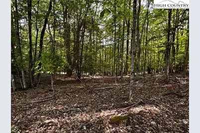 805 Pine Ridge Road, Beech Mountain, NC 28904 - Photo 1