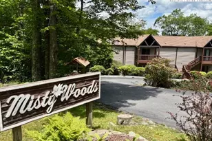 1664 Grouse Moor Dr, Sugar Mountain, NC 28604 - Photo 1