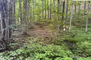 Lot 56 Beechwood Circle, Creston, NC 28615 - Photo 1