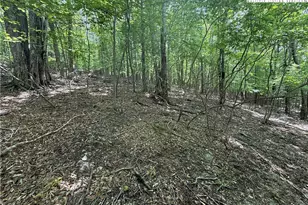 105/107 Aster Trail, Beech Mountain, NC 28604 - Photo 1