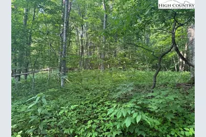 Lot 10 Billy Bob Lane, Creston, NC 28615 - Photo 1