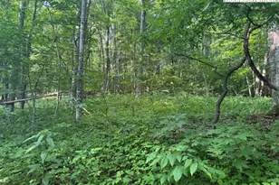 Lot 10 Billy Bob Ln, Creston, NC 28615 - Photo 1