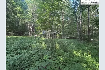 Lot 11 Billy Bob Lane, Creston, NC 28615 - Photo 1