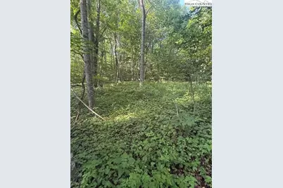 Lot 10 & 11 Billy Bob Lane, Creston, NC 28615 - Photo 1