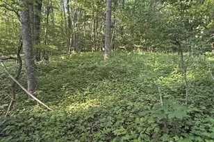 Lot 10 & 11 Billy Bob Ln, Creston, NC 28615 - Photo 1