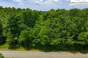 Tbd Air Bellows Gap Rd, Sparta, NC 28675 - Photo 1