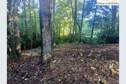 59 Woodpecker Lane, Newland, NC 28657 - Photo 1