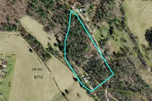 2034 Champion Mt Pleasant Rd, Ferguson, NC 28624 - Photo 1
