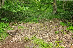 Tbd Cow Camp Rd, Newland, NC 28657 - Photo 1