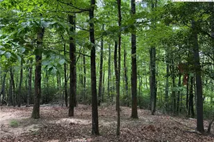 Lot 215 Casey Mountain Rd, Purlear, NC 28665 - Photo 1