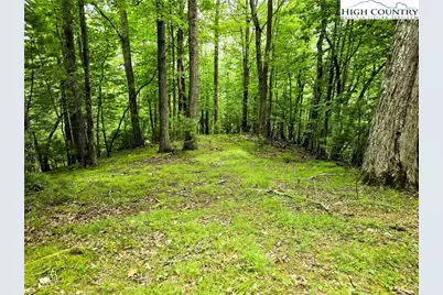 Lot 7 Brightwood Trail, Deep Gap, NC 28618 - Photo 1