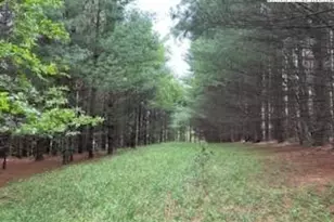 Tbd Fox Ridge Rd, Glade Valley, NC 28627 - Photo 1