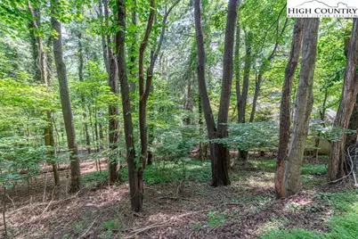 Tbd Blanwood Drive, Boone, NC 28607 - Photo 1