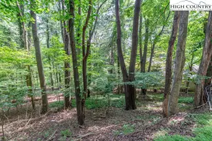 Tbd Blanwood Dr, Boone, NC 28607 - Photo 1